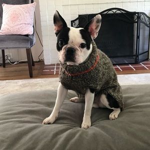 Meet your Posher, Dan